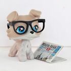 Littlest Pet Shop LPS Collie 67 with LPS Accessories Who Love LPS Kids Gift Rare