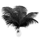 Large Ostrich Feathers - 12Pcs 14-16inch Large Feathers for 14-16 inch Black