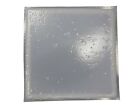 Textured 12in Square Stepping Stone Patio Paver Concrete Mold 2016 Moldcreations