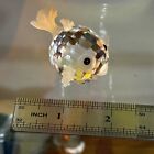 Authentic Swarovski Crystal Miniature Mini Blowfish Puffer Fish 2” Inches Signed