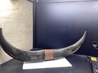 Water Buffalo Horn Carving Marked Philippines 1945