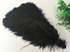 Wholesale, beautiful 10-100pcs special color ostrich feathers 6-24inches/15-60cm