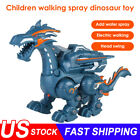 Kids Walking Spray Dinosaur Toys For Age 3 4 5 6 7 8 9 10 11 Year Old Boys Gifts