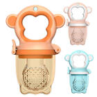 Baby Fruit Feeder Portable Fresh Food Pacifier Feeder for Babies Toddlers
