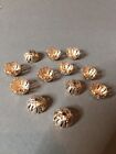 Vintage Bead Caps Gold Tone Crafts Jewelry Findings 13 mm 12pcs