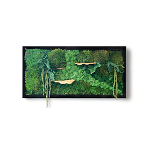Moss Wall Art Frame 20x40