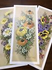 3 Vintage Robert Laessig Floral Prints Pictures Rectangle 7x16” Daisy Flowers