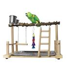 Wooden Parrot Playground Bird Perch Play Gym with Feeder Cups Ladder Swings