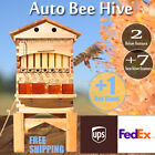 Auto Flow Cedarwood Bee Hive Boxes Honey House + 7 Beekeeping Frames +Hive Stand