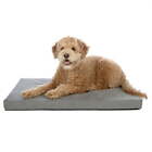 Pet Products Mattress Edition Medium Memory Foam Dog Kennel & Crate Mat, Gray