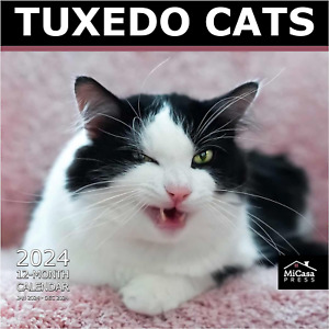 Tuxedo Cats 2024 Hangable Monthly Wall Calendar12