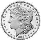 $1 Morgan Silver Dollar Proof Coin
