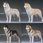 Siberian Husky Dog Standing Version JXK 1/6th Animal Figure Model Toy Decoration