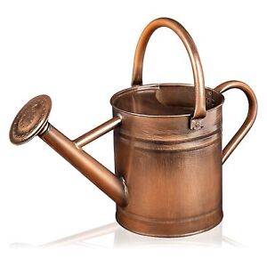 Metal Watering Can - 81 oz Copper Watering Can with Removable Spout - Galvani