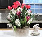 Pre-potted Red & White Tulip Hyacinth Bulb Garden | Ready to Bloom