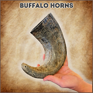 (X-Large) Massive Water Buffalo Bully Horn for Dogs - Buffalo Horn Dog Chews