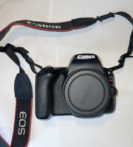 Canon EOS Rebel SL2 24.2 MP DSLR Camera - Black Body