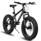 20 Inch Fat Tire Bike Adult/Youth Full Shimano 7 Speed Mountain Bike, Dual Disc