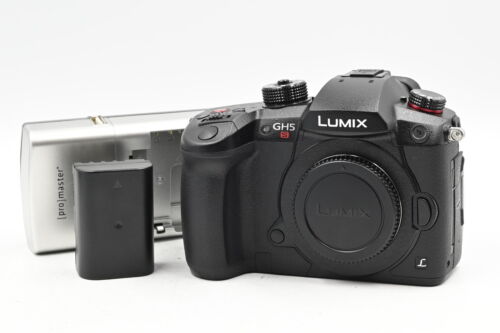 Panasonic Lumix DC-GH5S Mirrorless MFT Micro 4/3 Digital Camera #238