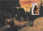 Black Bear Fauna World Wildlife Canada USA West Virginia Mint Maxi Card FDC 1987