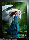 ANNE STOKES ART BLACK FRAMED ENCHANTED POOL(UNICORN) - 3D PICTURE 325mm x 425mm