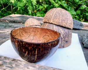 Coconut Shell Bowl Set Ceylon Natural 100% Eco Friendly Halves Organic Handmade
