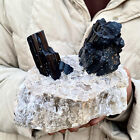 5.4LB Top natural black tourmaline quartz crystal mineral specimen