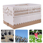 Folding Pet Pigeon Training Release Cage 2 Side Doors Racing Pigeon Carrier Box