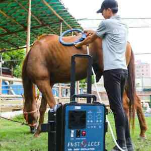 PEMF Therapy Horses Massage Machine PMST LOOP Magnetic for Horse Pain Relief