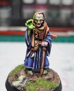Painted Reaper Iconic Spiritualist Pathfinder Miniature