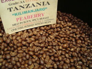TANZANIAN KILIMANJARO COFFEE BEANS PEABERRY MEDIUM ROAST 2 POUNDS