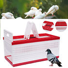 Racing Pigeon Carrier Box Poultry Pet Supply Cage w/ 2 Side Doors + 2 Top Doors