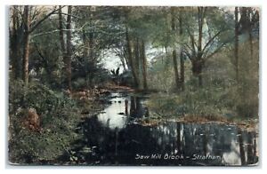 1908 Saw Mill Brook, Stratham, NH Postcard *6V(4)41