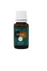 Young Living Pure Essential Oil Blend Peppermint 15ml Sealed New FREE SHIPPING