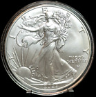 New Listing2022 - American Silver Eagle - One Dollar S$1 Coin