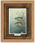 Black Crappies by Terry Doughty Fishing Crappie Art Print-Framed 21 x 17