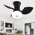 Small Ceiling Fan with Light Flush Mount, Ceiling Fans with Remote Black light