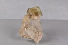 Yellow Barite Crystal on Matrix from Peru  5.9 cm  # 16523