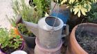 Vintage Galvanized Heavy Duty Copper Spout Watering Can
