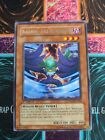 Yu-Gi-Oh! Blackwing - Gale the Whirlwind CRMS-EN008 1st Edition Rare NM