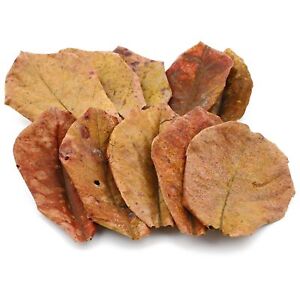 Sun Dried Almond Leaves Naturally Aged Catappa Leaf for Fish, Shrimp - 100+ Leaf