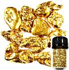 10 PIECE ALASKAN NATURAL PURE GOLD NUGGETS WITH BOTTLE FREE SHIPPING (#B252)