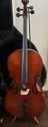 Eastman VC155 Cello 4/4 Mint