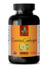 Garcinia Cambogia Extract 60% HCA Extra 1300mg 100% Pure Diet Fat Weight Loss 1B