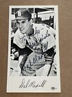 1968 Dal Maxvill St. Louis Cardinals Team Issue Postcard - Posted