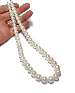 Stunning Round 9 - 10mm Edison Natural White Cultured Pearl 16