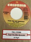 Toad the Wet Sprocket 45 Fall Down / All Right NEW reissue unplayed