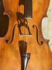 Vintage German Cello with Lion’s Head Scroll, Including Hard Case and Bow