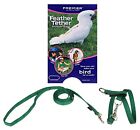 Premier Feather Tether Bird Harness and Leash SMALL GREEN for Cockatiels