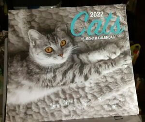 2022 Cats 16 Month Wall Calendar 10